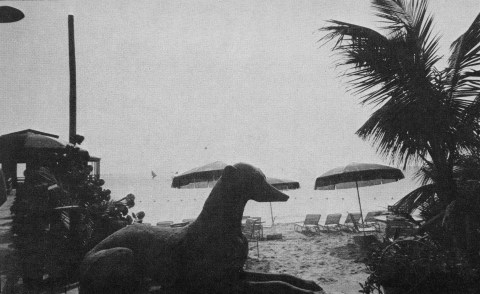 BobColacello 1981 Interview Mag