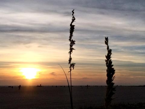 13925859_10210197492237124_2767431681426724766_o