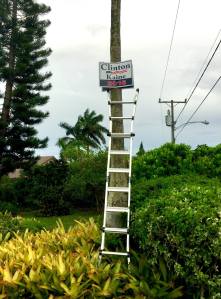 14556678_10210865692904292_8737435623193497432_o